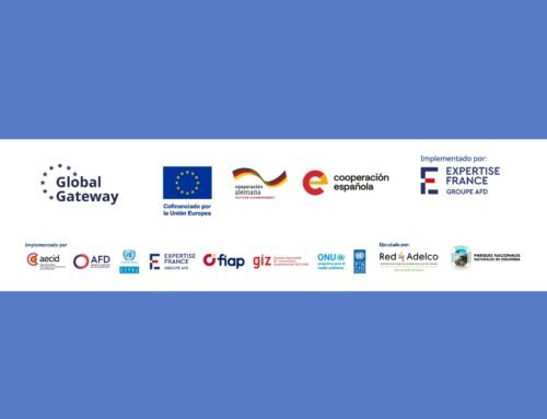 Consultoría técnica en enfoque de género e inclusión social (GESI) MIT Redserpaz