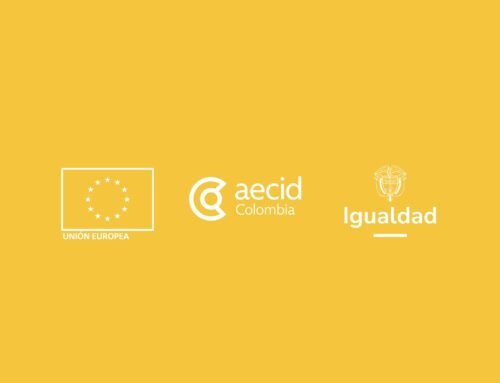 Fortalecimiento instituciones educativas proyecto Libres