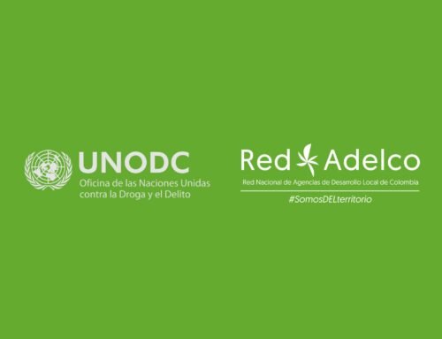 Coordinador/a Programa IRACA