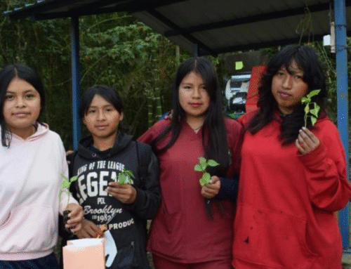 A través de la agroecología, comunidades de Cauca fortalecen el trabajo colectivo para prevenir violencias