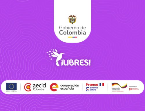 Apoyo administrativo y logístico – Libres