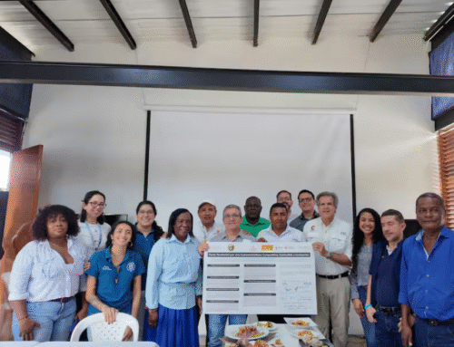 En Tumaco, una alianza convierte el camarón en un motor para el desarrollo