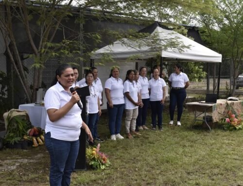 Chocoamazonic ilumina el futuro con energía solar y el liderazgo de mujeres