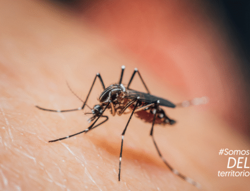 Red Adelco fortalece acciones para la eliminación de la malaria en territorios priorizados