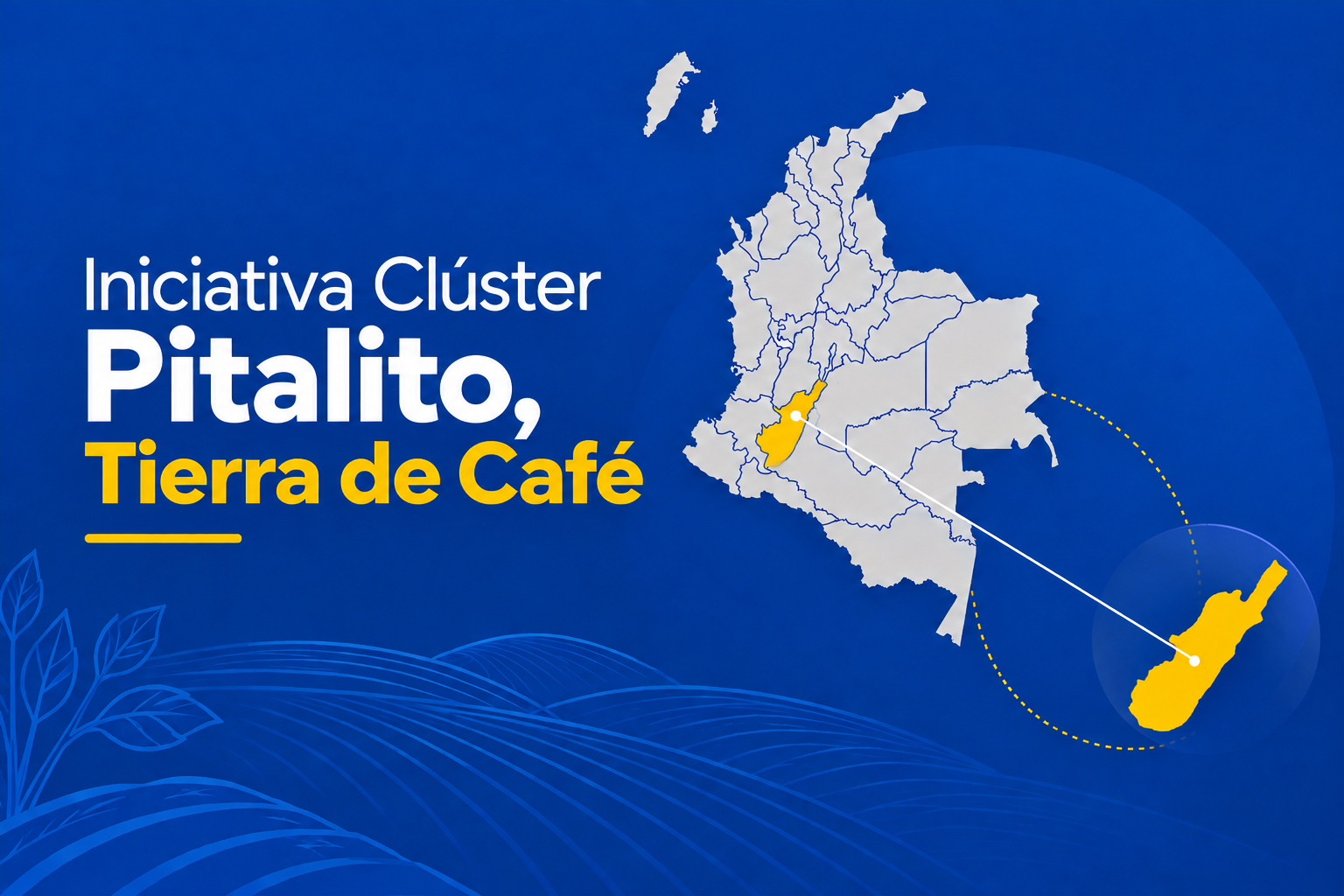 Iniciativa Clúster Pitalito_ Tierra de Café