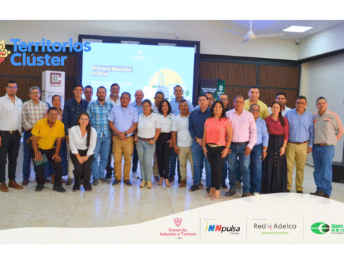 El Clúster de Soluciones Energéticas del Tolima avanza en la construcción de su hoja de ruta para fortalecer la transición energética