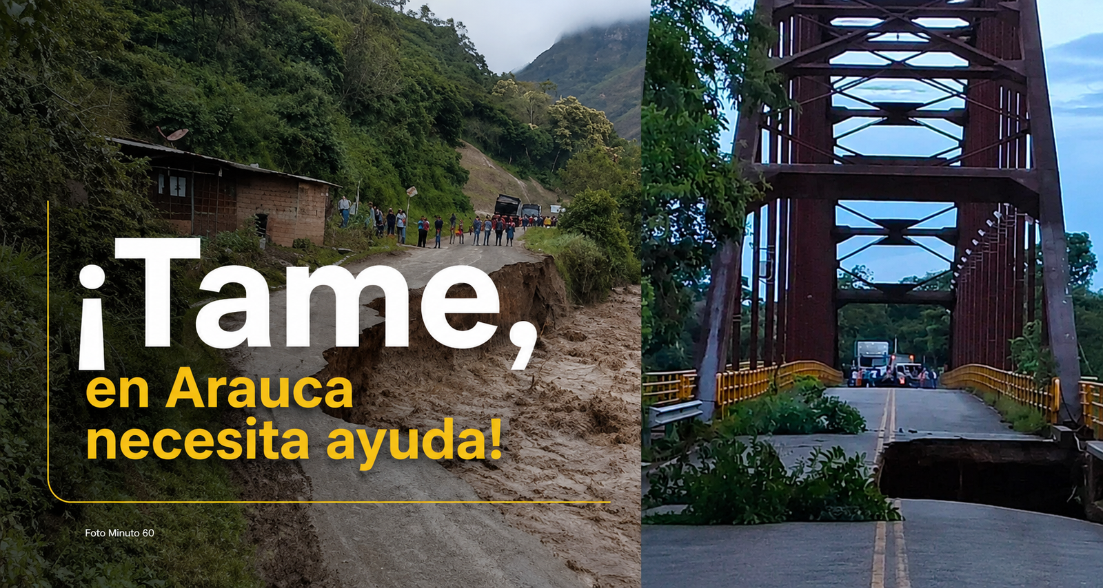 Tame ayuda