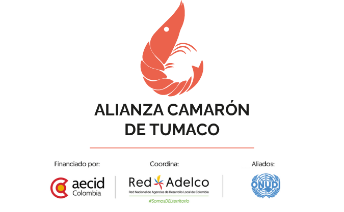 baner logos 2025