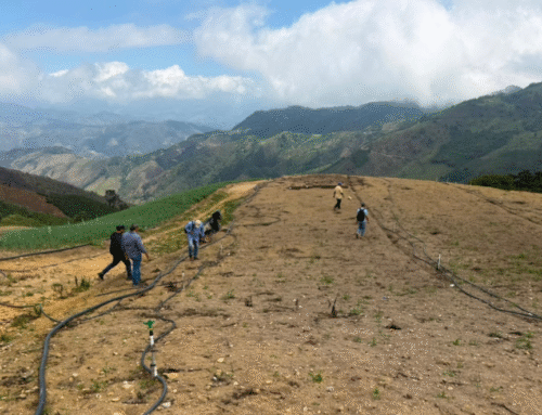Organizaciones productoras de cebolla ocañera avanzan en el diagnóstico de suelos y agua para una producción más sostenible