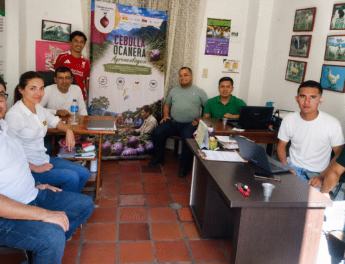 Proyecto Cebolla Ocañera Raíz de Paz fortalece alianzas para preservar un patrimonio agrícola y cultural del Catatumbo