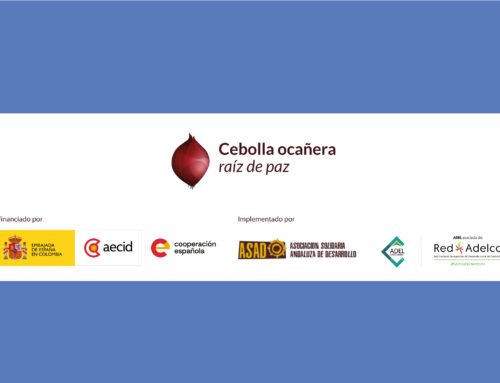 Consultoría especializada para diseñar y acompañar la implementación inicial de la hoja de ruta técnica, sanitaria y de trazabilidad de la cebolla ocañera