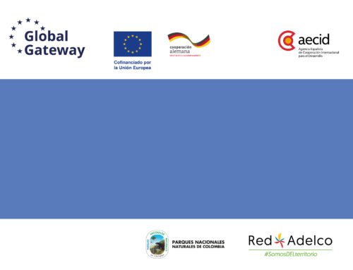 Servicios profesionales para apoyo en verificación técnica y elaboración de planes de manejo de RNSC.