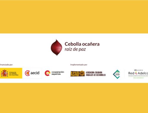 Consultoría técnico agroecológica para formulación de paquete tecnológico agroecológico del cultivo de cebolla ocañera