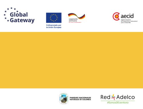 Servicios técnicos especializados para el levantamiento, generación, verificación y ajuste de información cartográfica temática