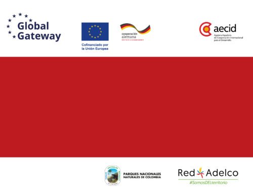 Profesional de estimulos – Redserpaz