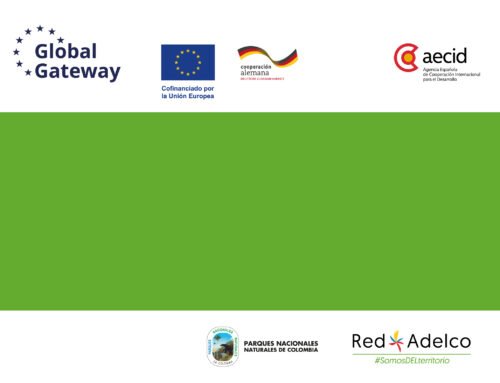 Enlace territorial – Redserpaz