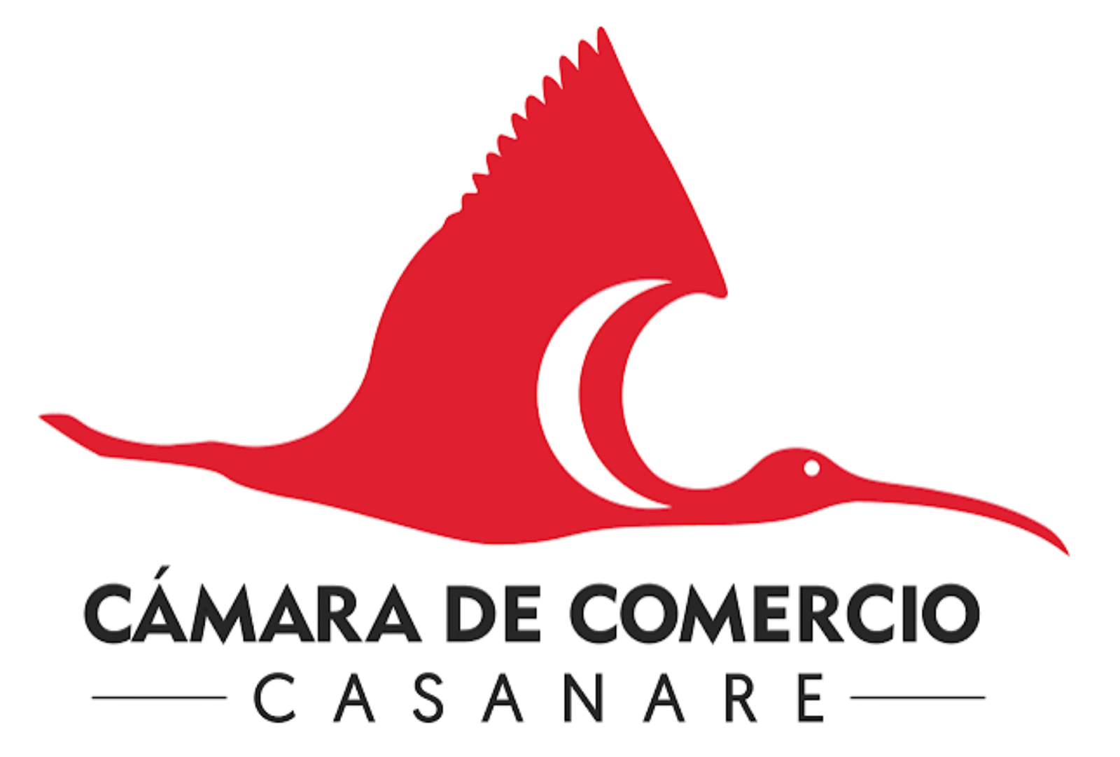 loco cc casanare