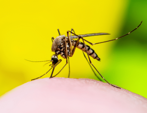 Territorios fortalecen sus capacidades para avanzar hacia la eliminación de la malaria en Colombia